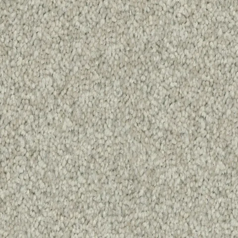 Limestone carpet swatch